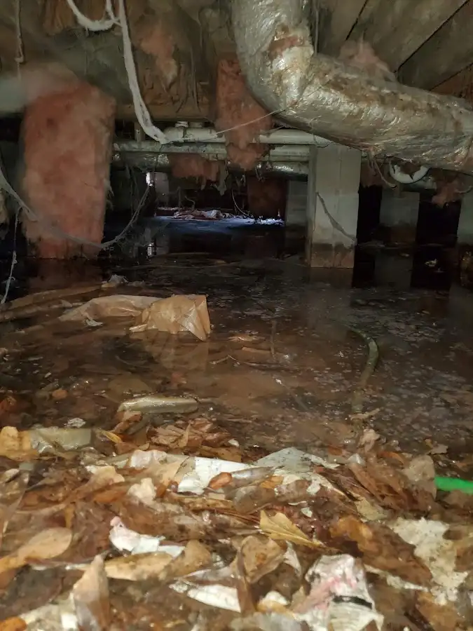 Crawl space flood assessment for Leak Detection & Repair in Grandview