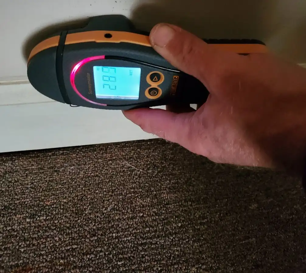 Moisture detection at baseboard during Sewage Cleanup & Sanitation in Grandview